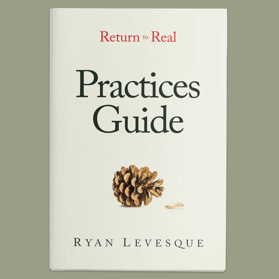 Bonus: The Practices Guide