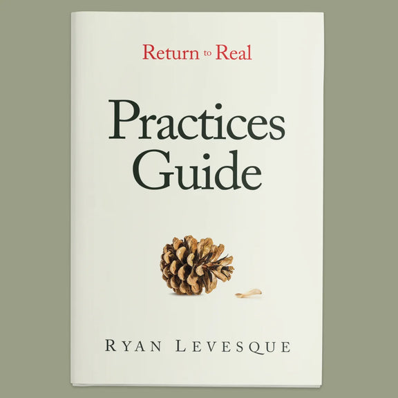 Bonus: The Practices Guide