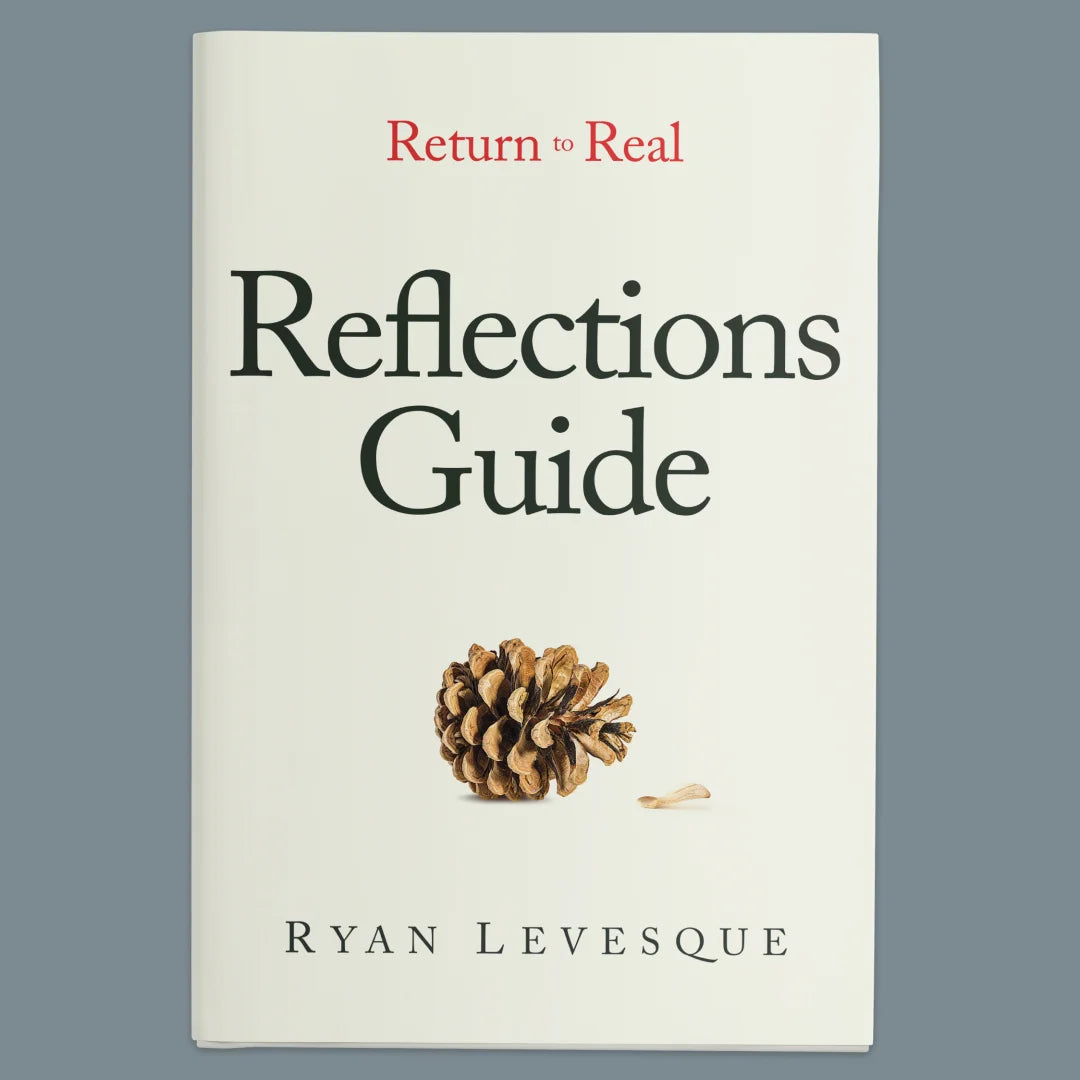 Bonus: The Reflections Guide